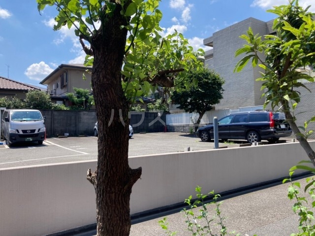 13/20 その他画像