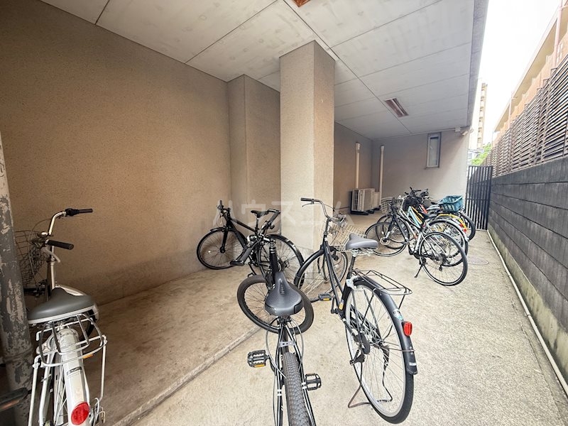 8/19 その他画像