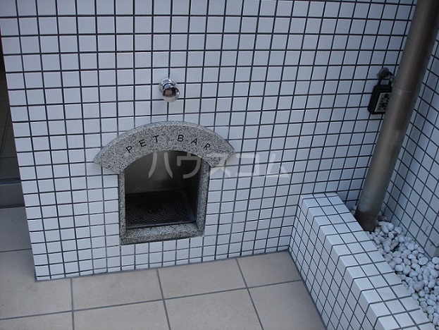 11/18 その他画像