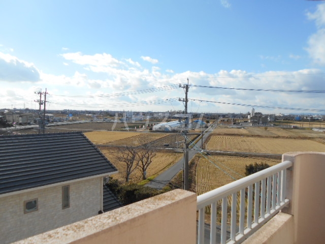 15/28 その他画像