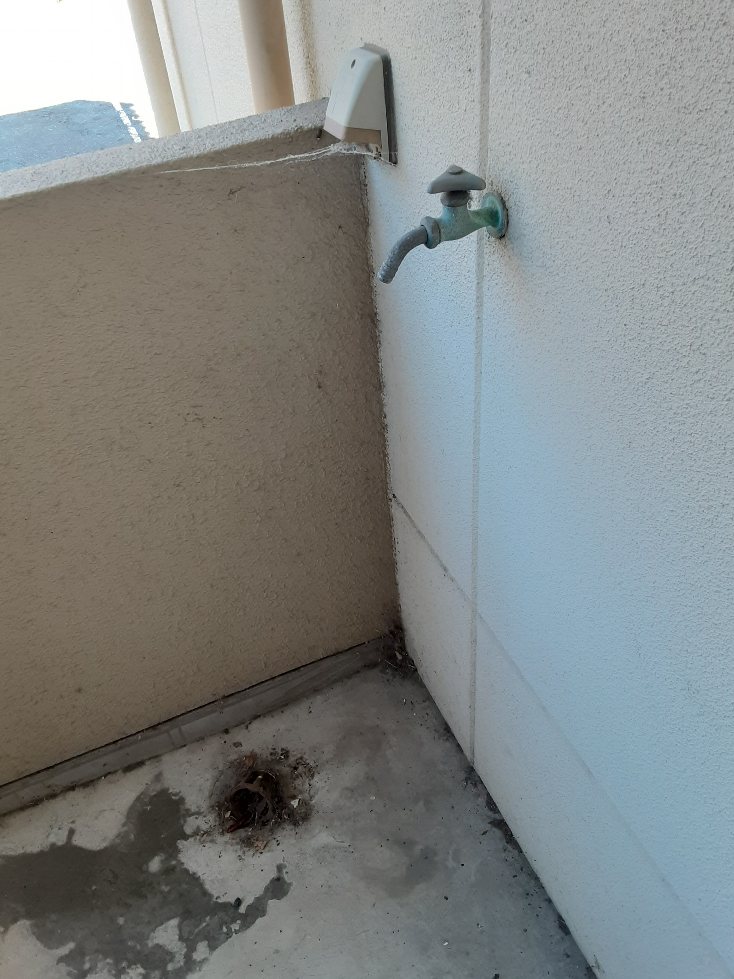 24/27 その他画像