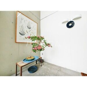 13/24 その他画像