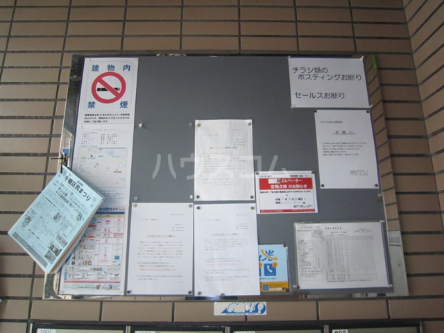 20/30 その他画像