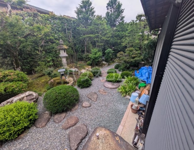 8/19 その他画像