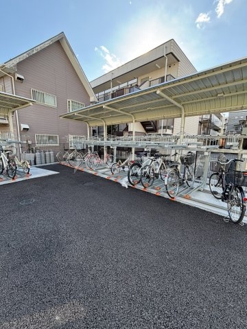 20/30 その他画像