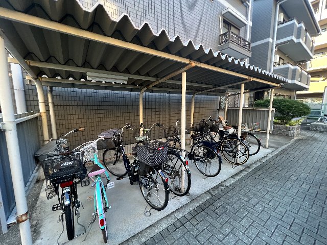 20/30 その他画像