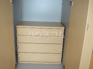 15/30 その他画像