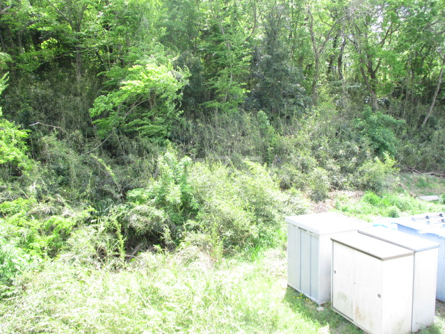 12/21 その他画像