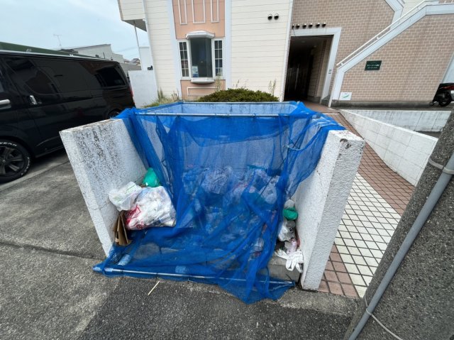 20/30 その他画像