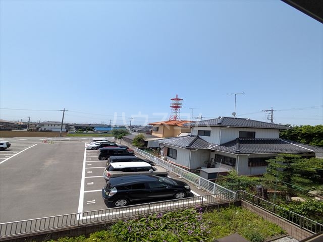 20/30 その他画像