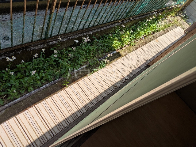 12/18 バルコニー