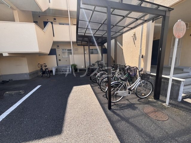 20/30 その他画像