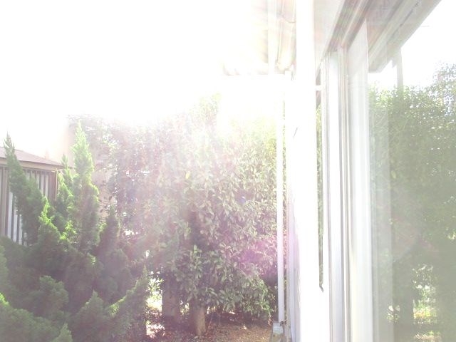 13/23 その他画像