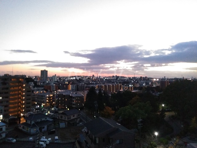 20/30 その他画像