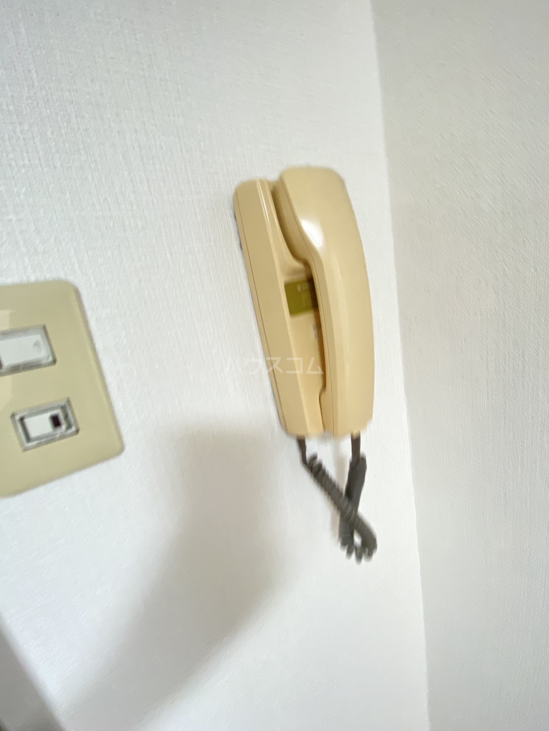 20/29 その他画像