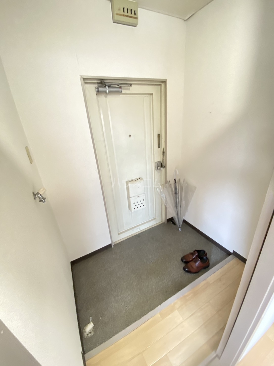 7/30 玄関