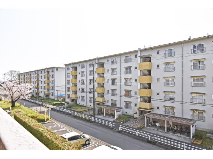 14/25 その他画像