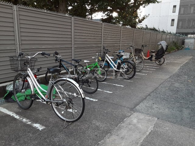 20/30 その他画像