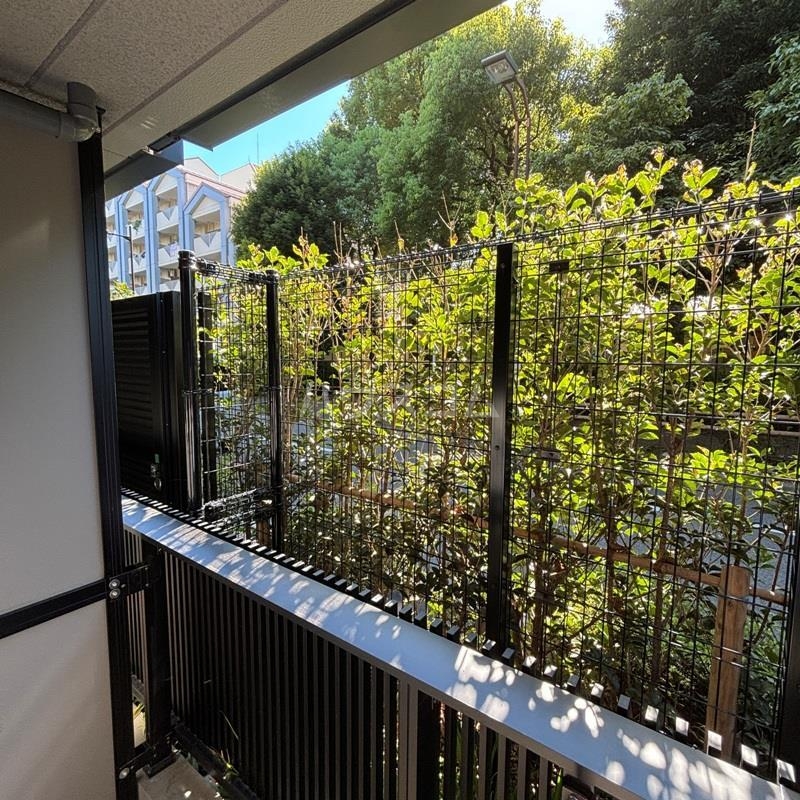 15/30 その他画像