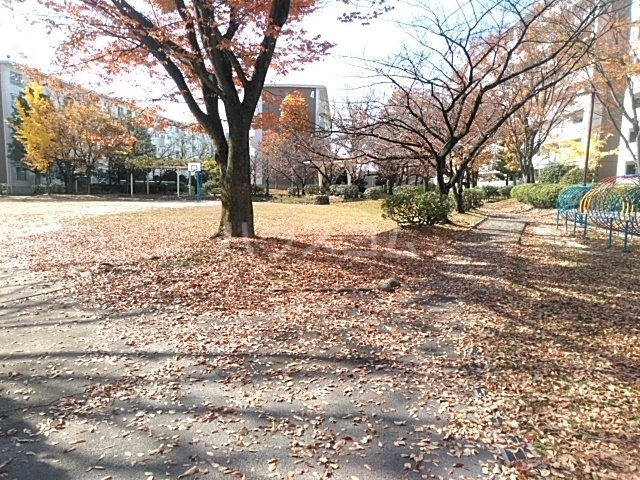 20/29 その他画像