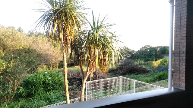 27/30 その他画像