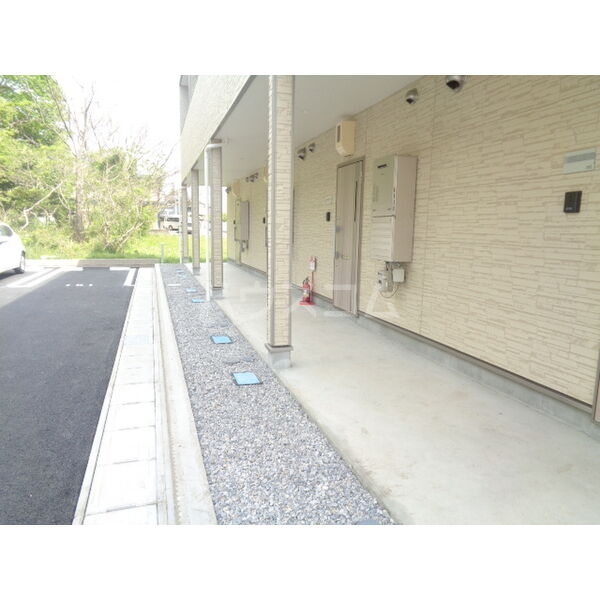 13/19 その他画像