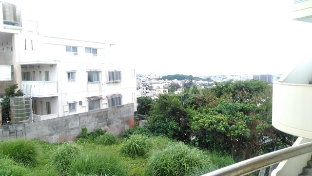 景色