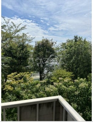 8/17 その他画像