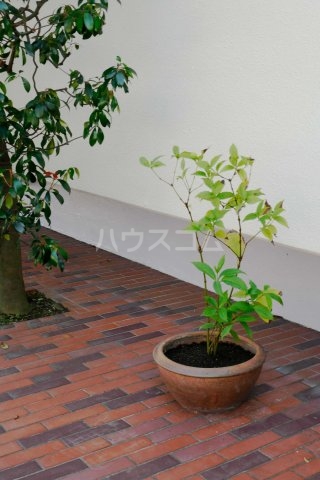 26/30 その他画像