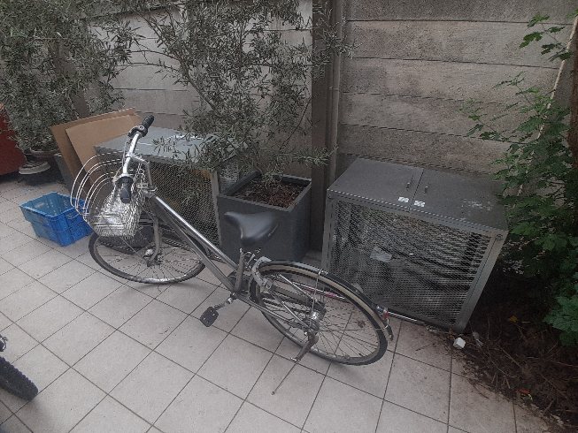 20/30 その他画像