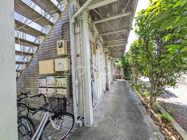 19/26 その他画像