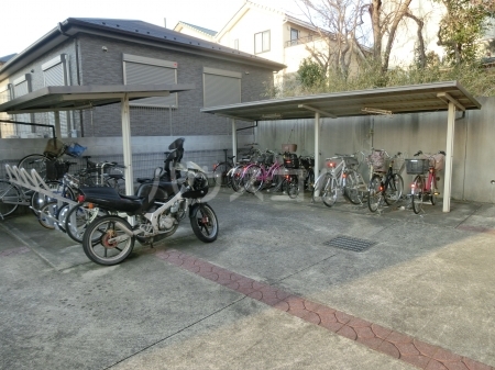 11/15 その他画像