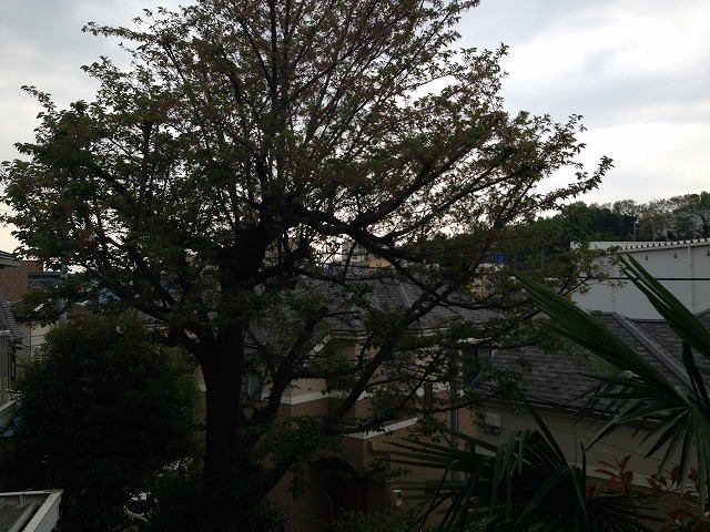 15/29 その他画像