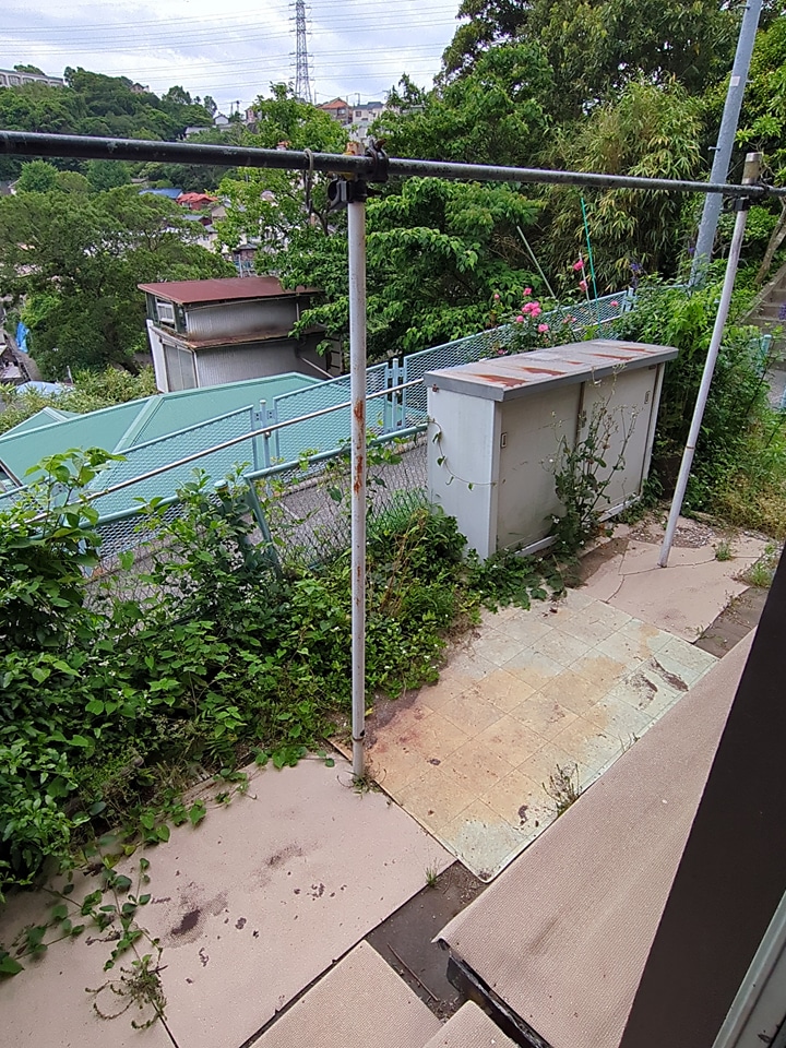 景色