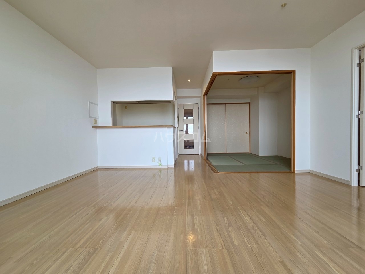 17/25 その他画像