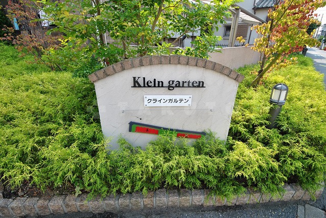 15/19 その他画像