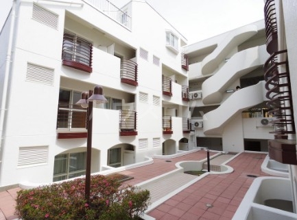 10/20 その他画像