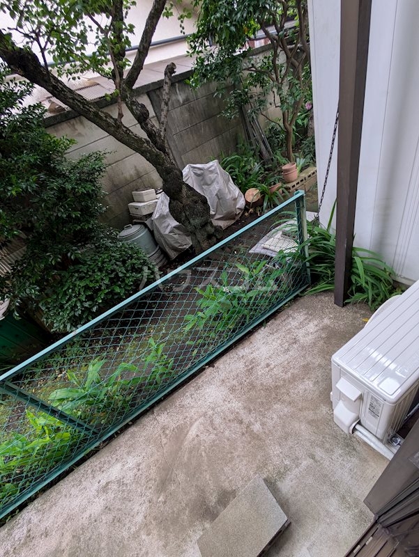 12/24 その他画像