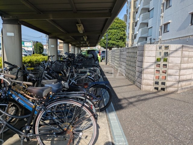 20/30 その他画像