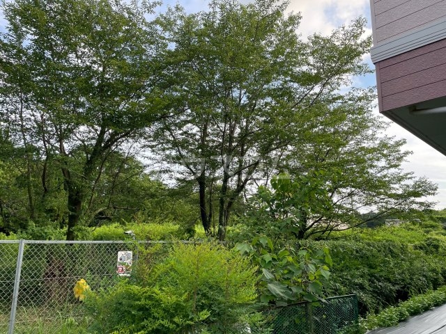 13/30 その他画像