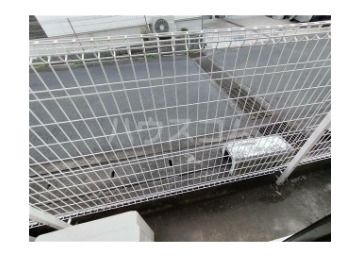 20/24 その他画像