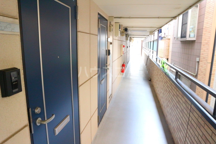 20/30 その他画像