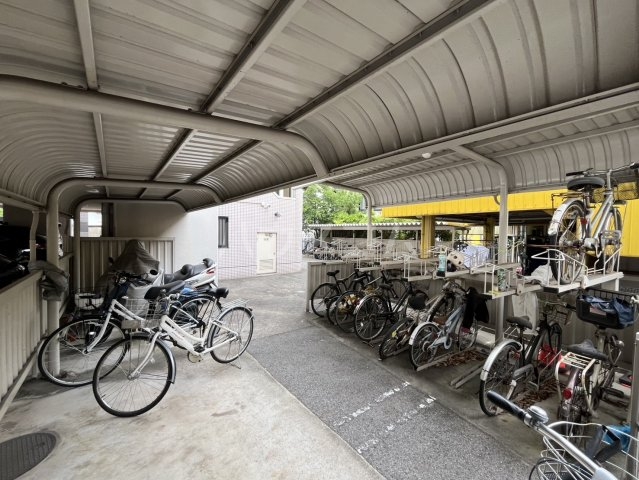 20/30 その他画像