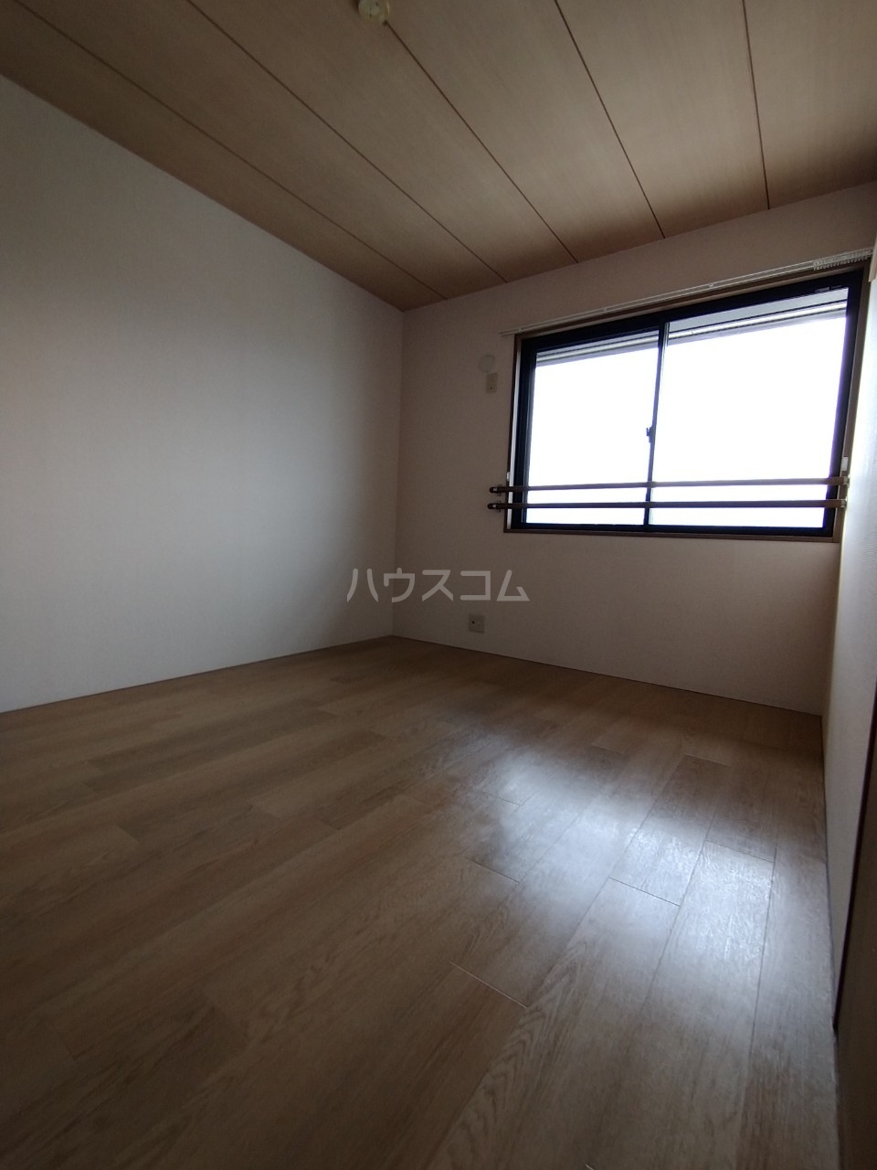 13/19 その他画像