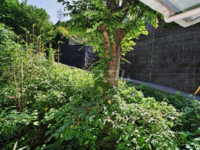 17/21 その他画像