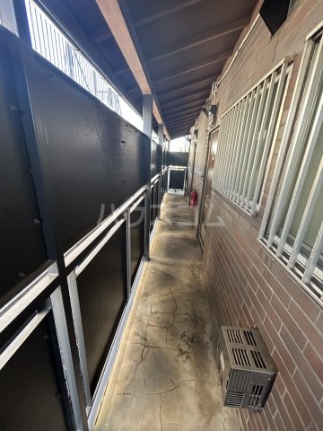 11/24 その他画像