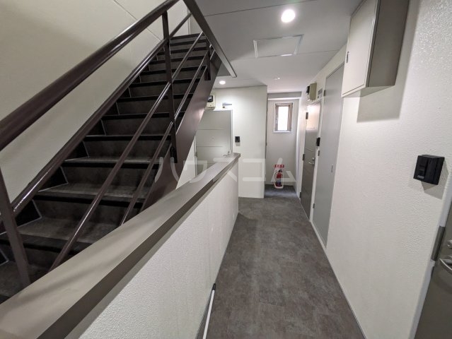 20/30 その他画像