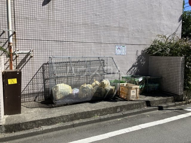 20/30 その他画像