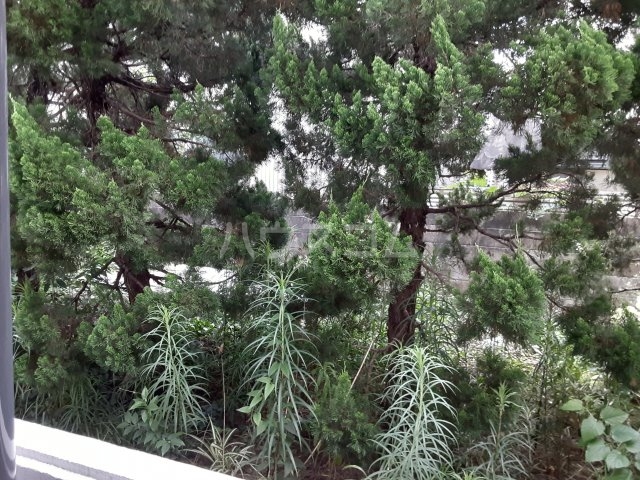 16/30 その他画像