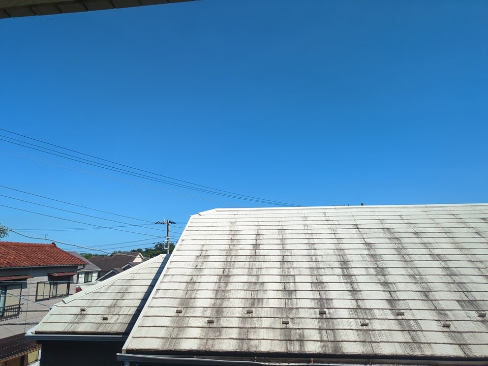 16/23 その他画像